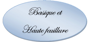 basique hf